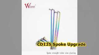 Juego de radios de motocicleta CD125 de acero trenzado